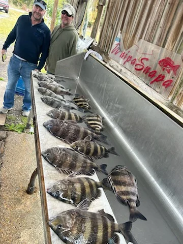 Sheepshead Fishing in