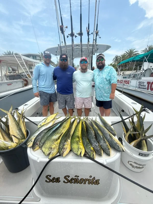 Fishing in Tavernier, Florida