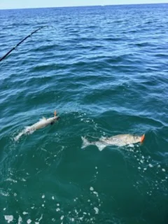 Fishing in Truro, Massachusetts