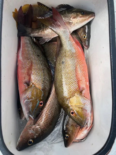 Fishing in Key Largo, Florida