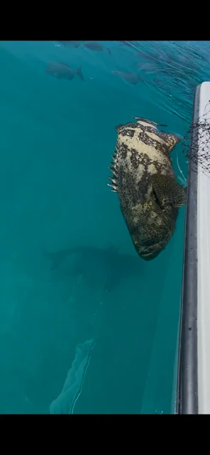 Fishing in Key Largo, Florida