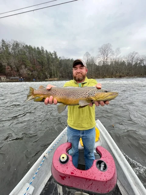 Brown Trout Fishing in Leicester, North Carolina