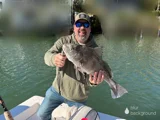 Fishing in Sarasota, Florida