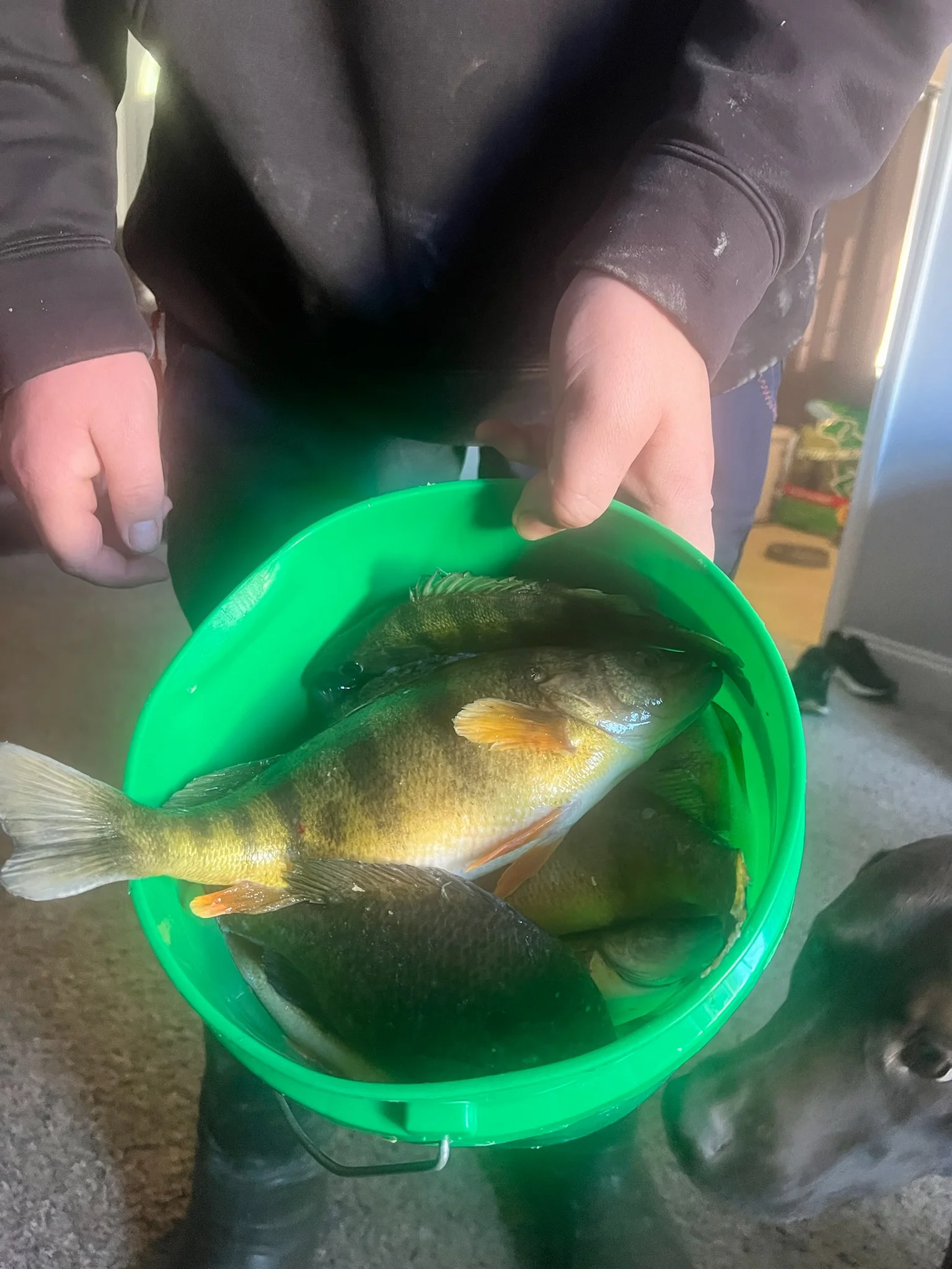 Fishing in Wyandotte, Michigan