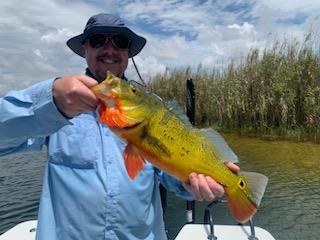 Peacock Bass Fishing in Palmetto Bay, Florida
