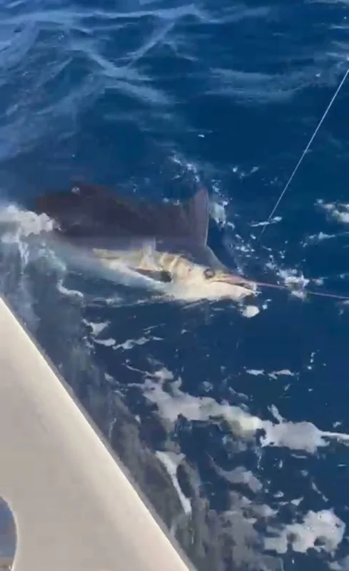 Fishing in San Juan, Puerto Rico