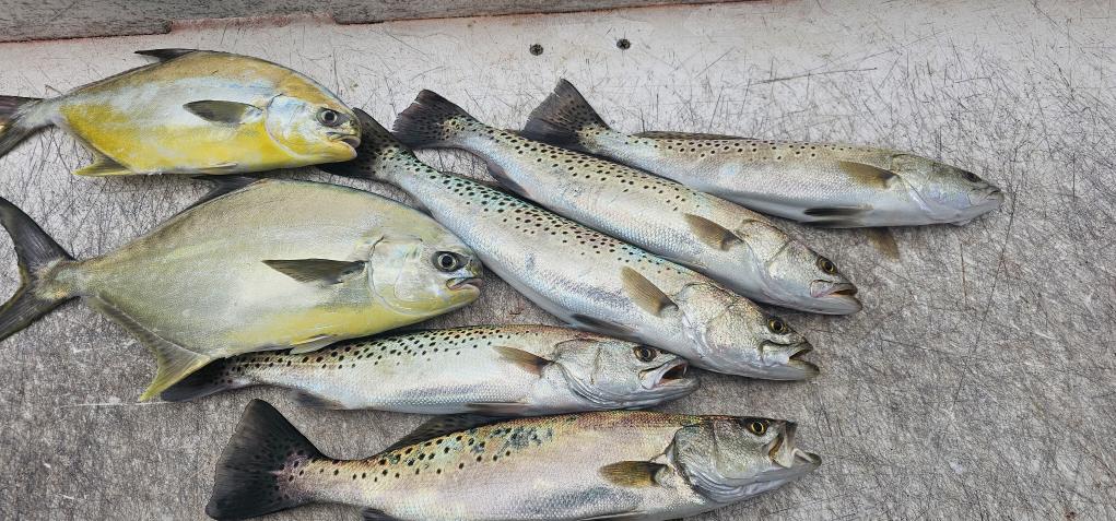 Fishing in Naples, Florida