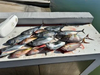 Fishing in Islamorada, Florida