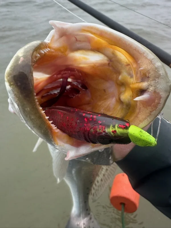 Fishing in Matagorda, Texas