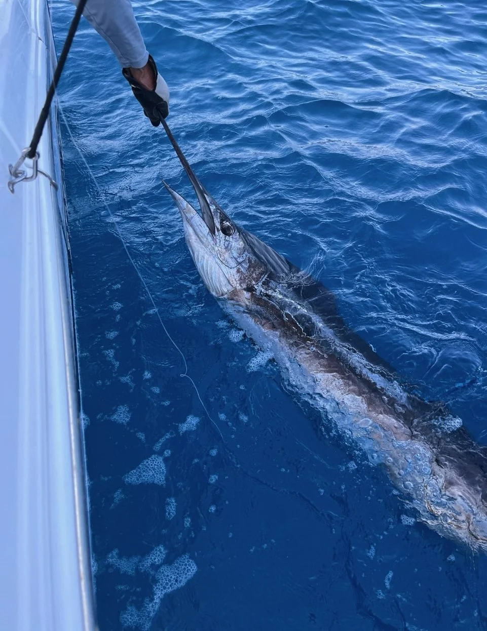 Fishing in Stuart, Florida
