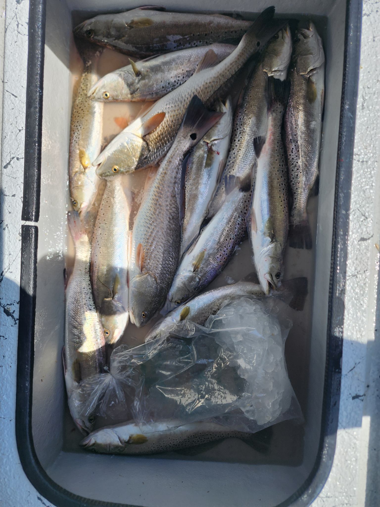 Fishing in Rockport, Texas
