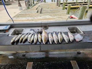 Fishing in Lake Charles, Louisiana