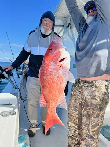 Blackfin Tuna, Scamp Grouper, Vermillion Snapper Fishing in Gulf Shores, Alabama