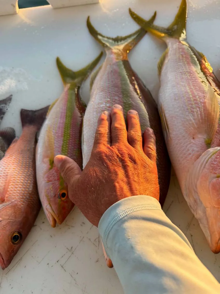 Fishing in Placida, Florida