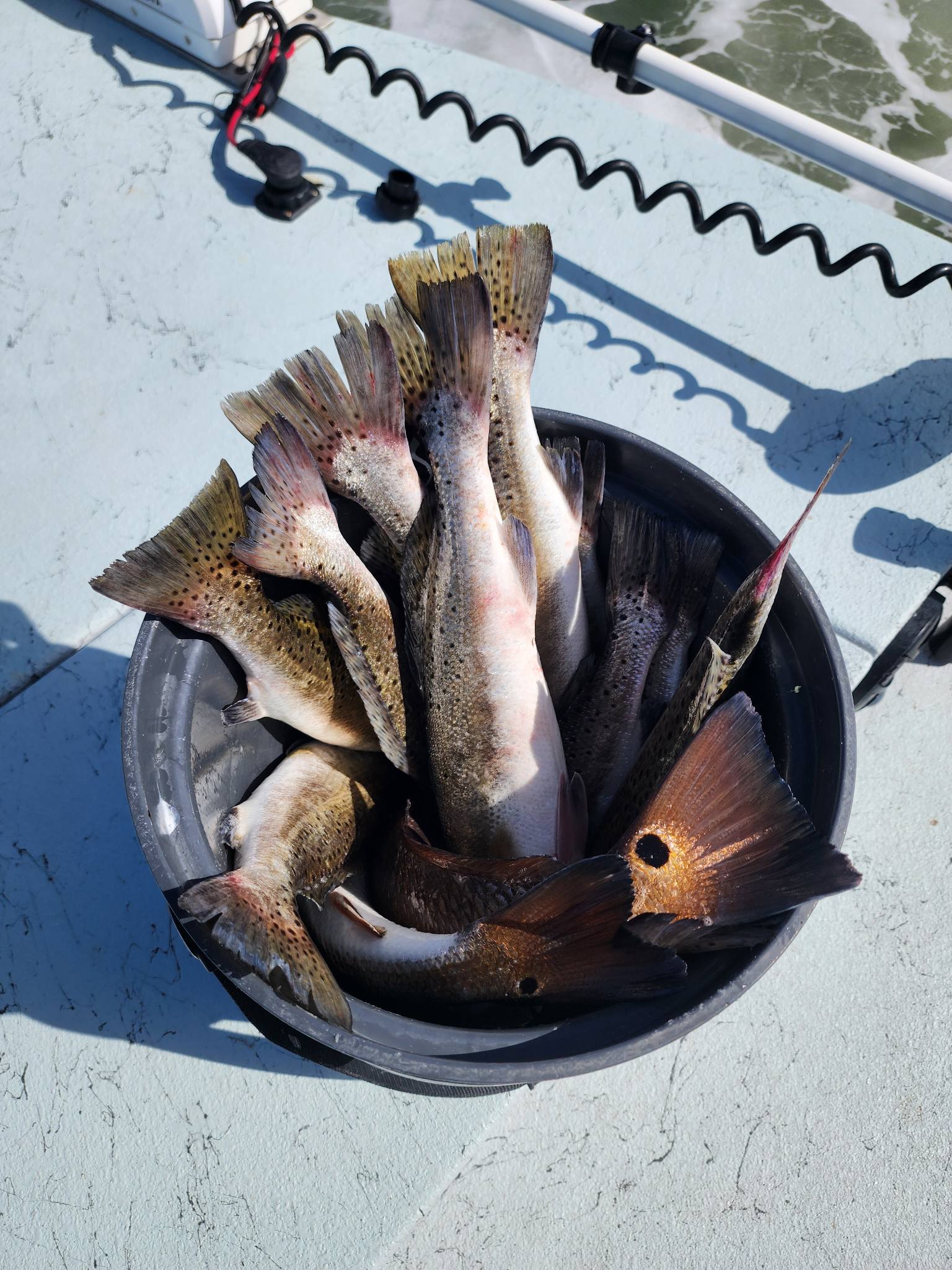 Fishing in Rockport, Texas