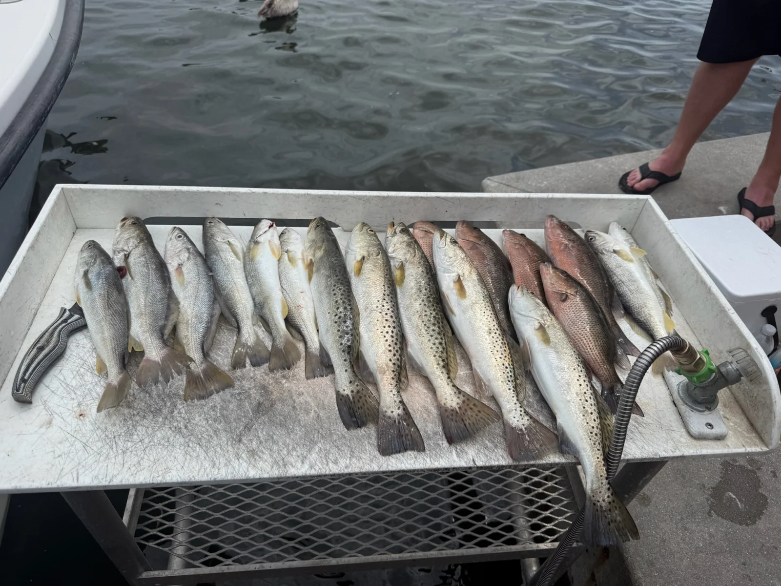 Fishing in Bradenton, Florida