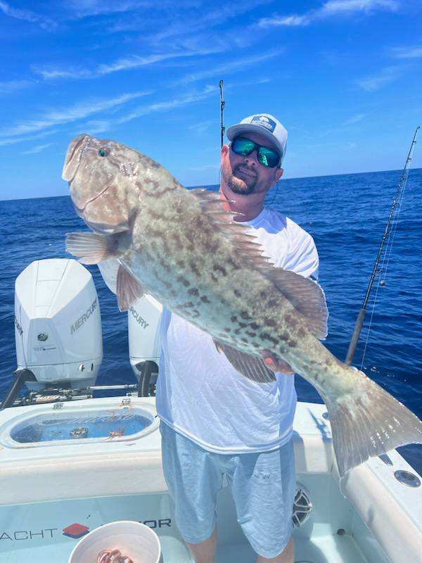 Gag Grouper Fishing in Clearwater, Florida