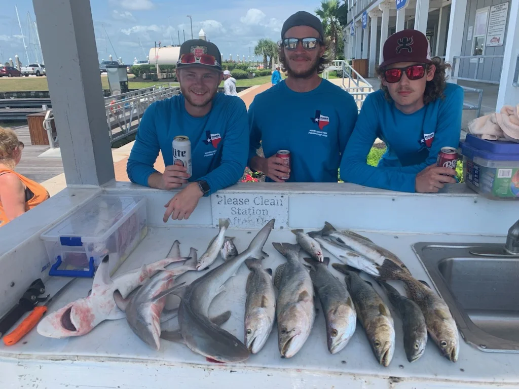 Sheepshead Fishing in Galveston, Texas