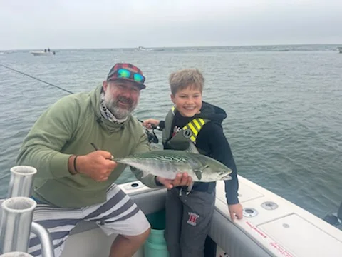 Little Tunny / False Albacore fishing in Chatham, Massachusetts