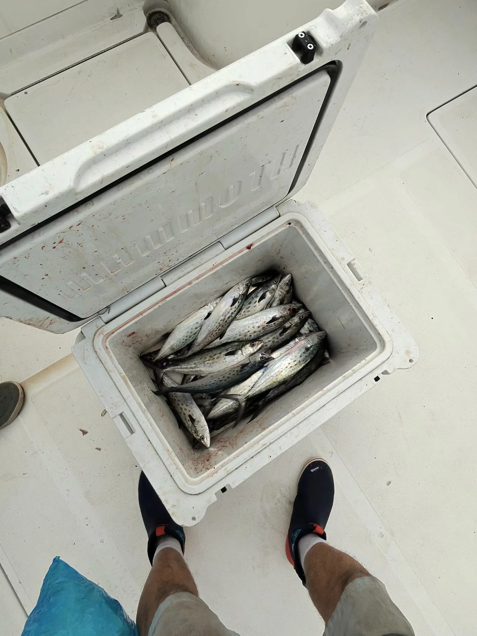 Fishing in Carolina Beach, North Carolina