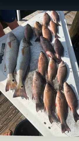 Fishing in Marco Island, Florida