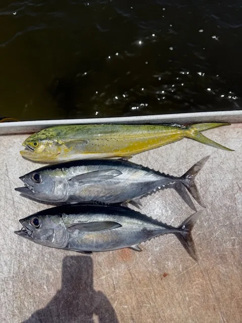 Fishing in Stuart, Florida