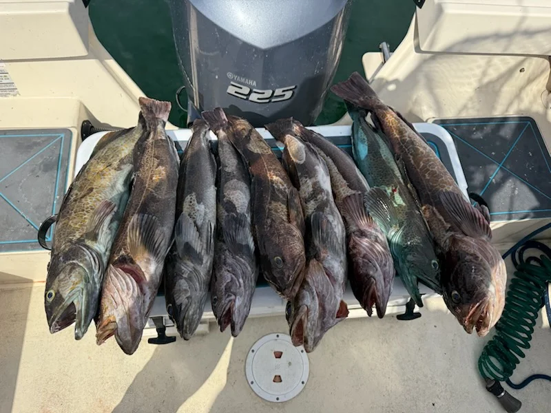 Fishing in San Diego, California