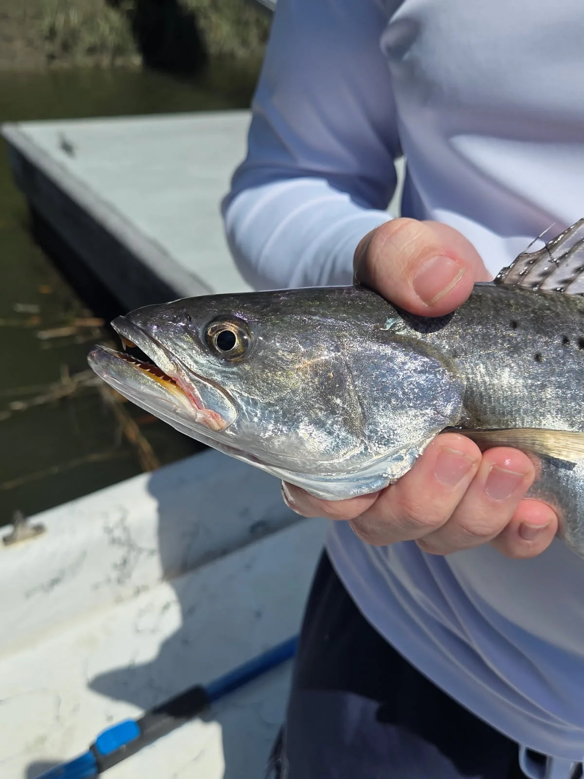 Fishing in Darien, Georgia