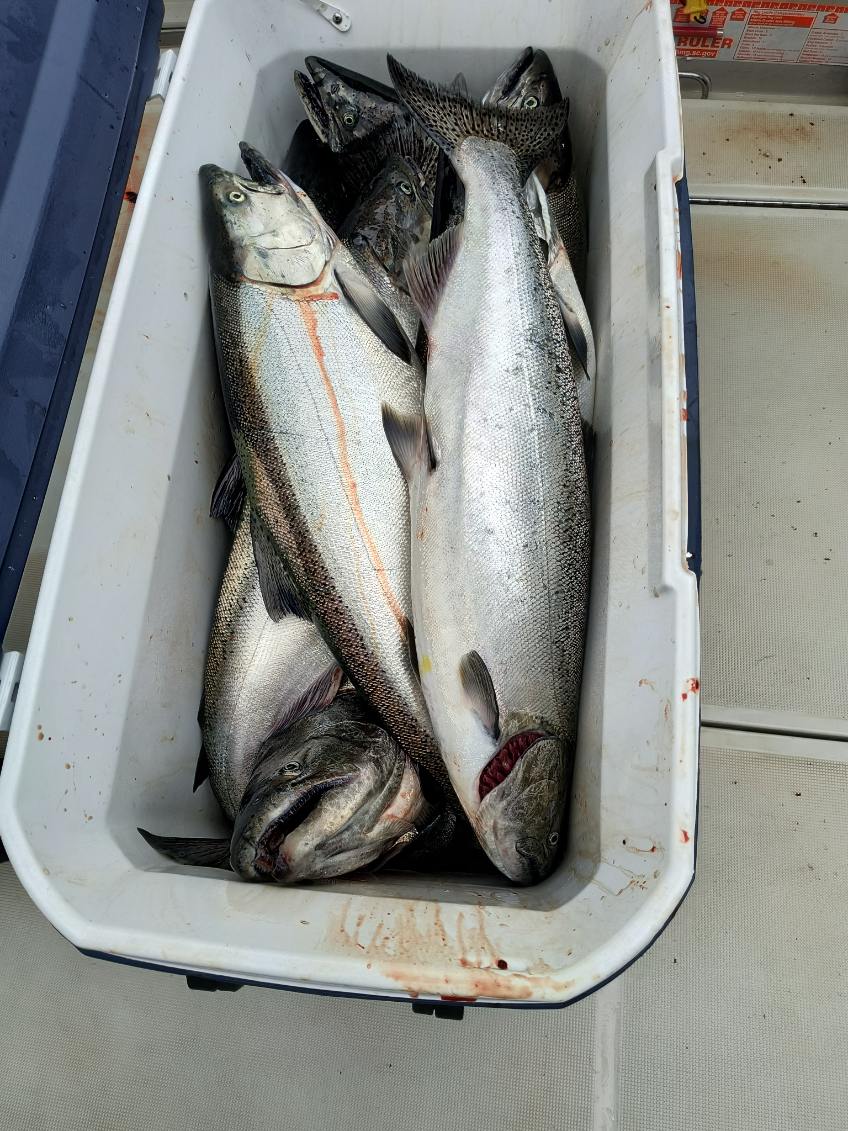 Fishing in Rochester, New York