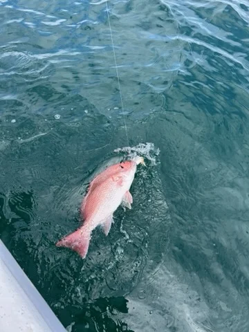 Fishing in Port Orange, Florida