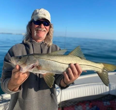 Sheepshead Fishing in Sarasota, Florida