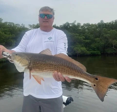 Speckled Trout Fishing in Tampa, Florida