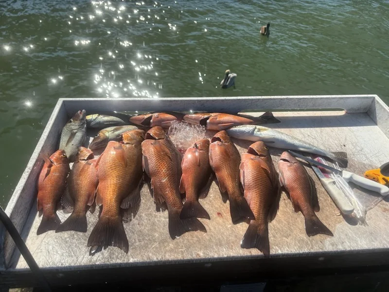Fishing in Largo, Florida