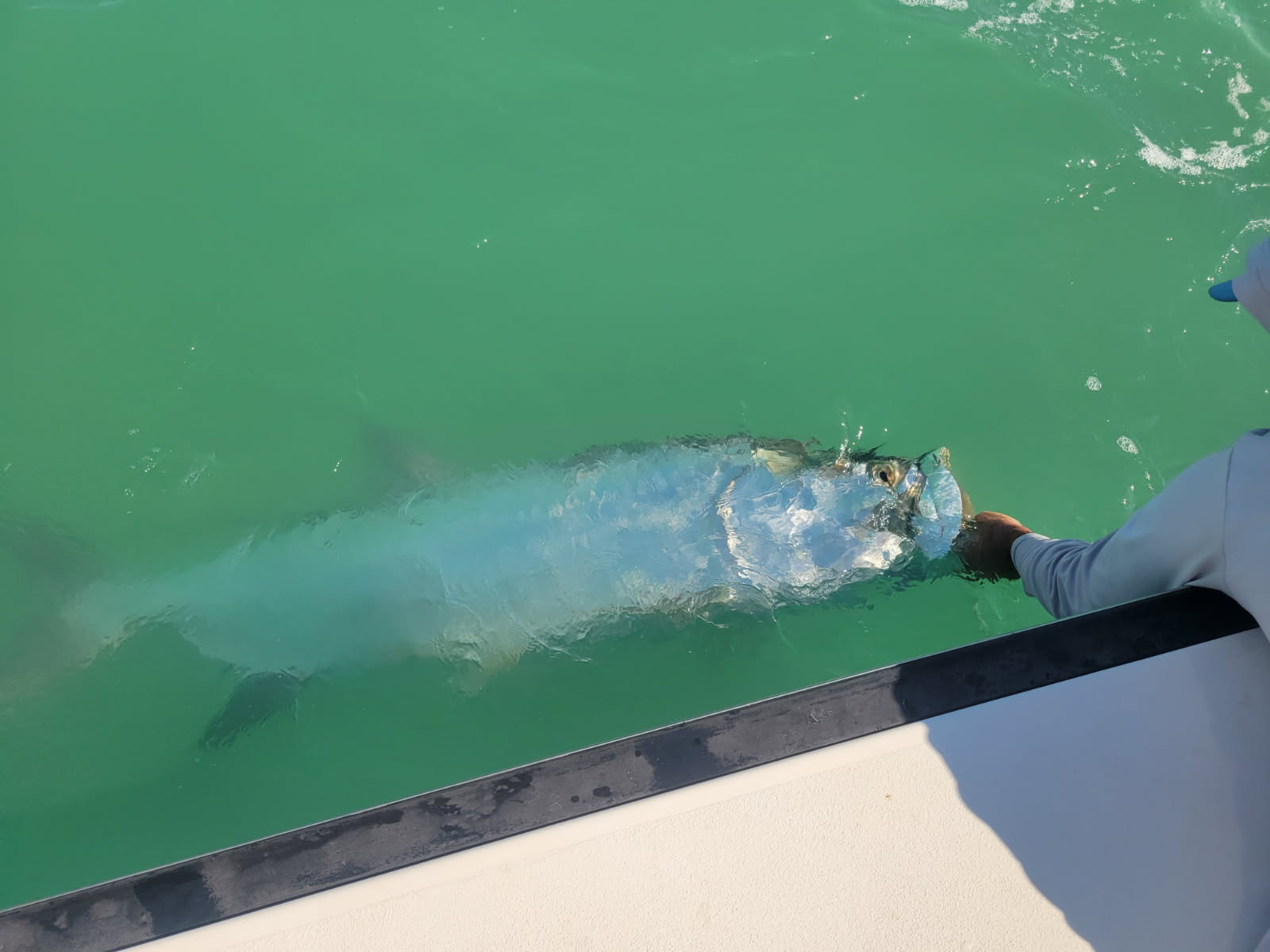 Fishing in St. Petersburg, Florida
