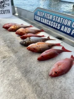 Fishing in Destin, Florida