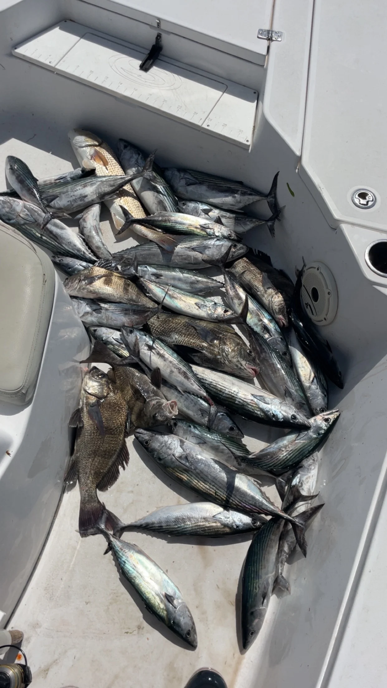 Fishing in Wilmington, North Carolina
