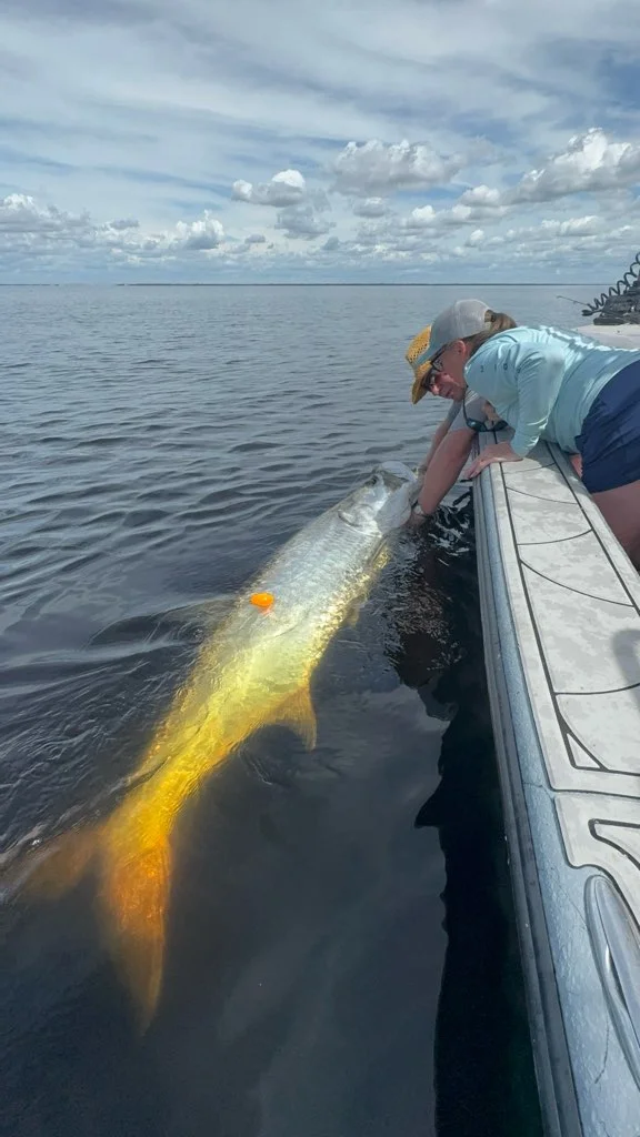 Fishing in Punta Gorda, Florida