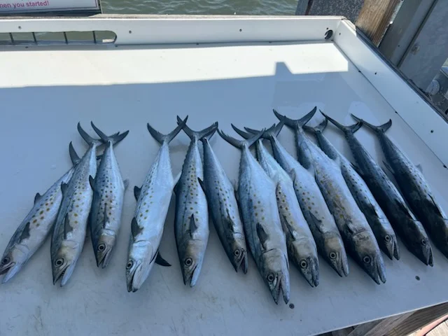 Fishing in Gulf Shores, Alabama