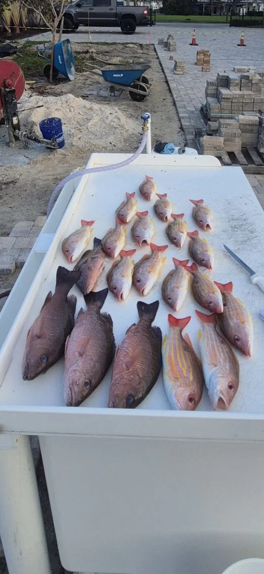 Fishing in Vero Beach, Florida