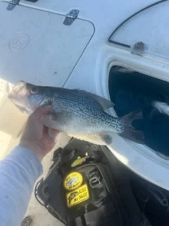 Fishing in Denver, North Carolina