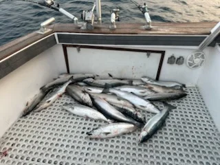 Fishing in Kenosha, Wisconsin