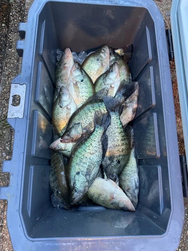 Fishing in Ridgeland, Mississippi