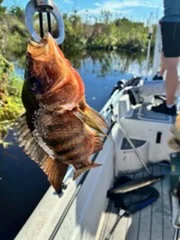 Fishing in Weston, Florida