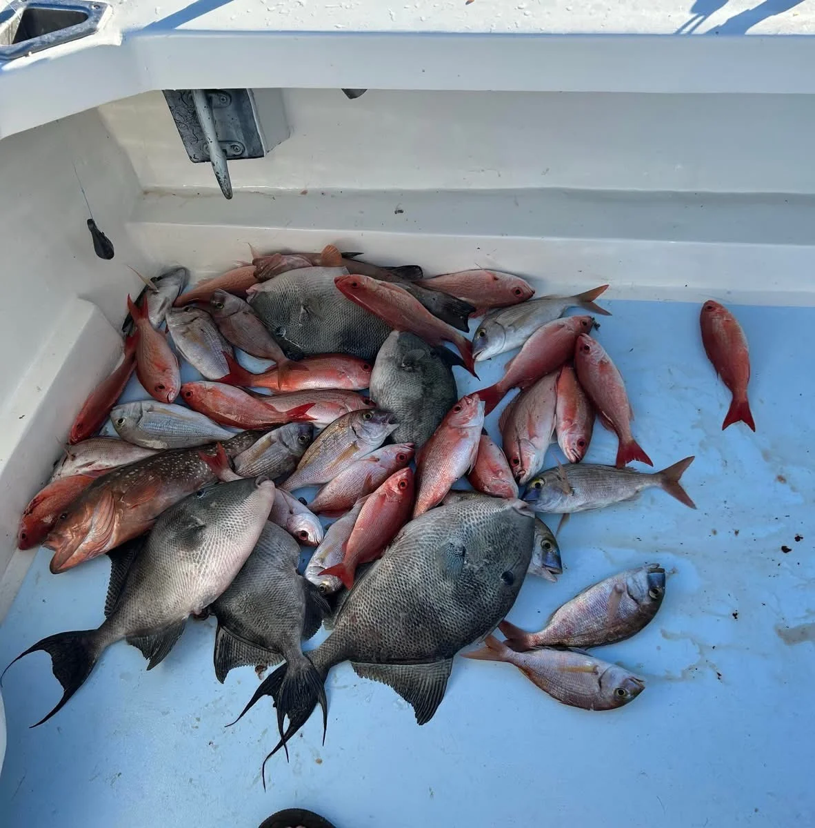 Fishing in Fort Walton Beach, Florida