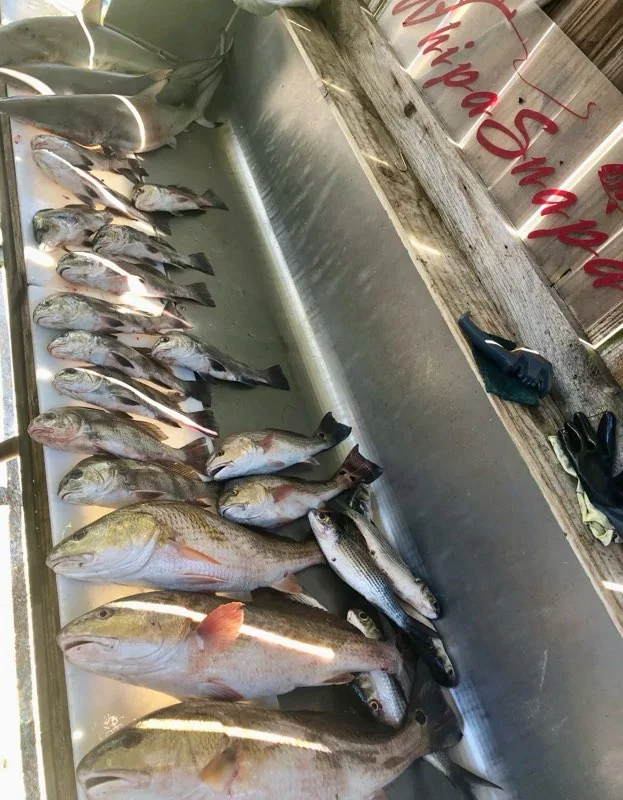 Fishing in D'Iberville, Mississippi