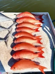 Fishing in Stuart, Florida