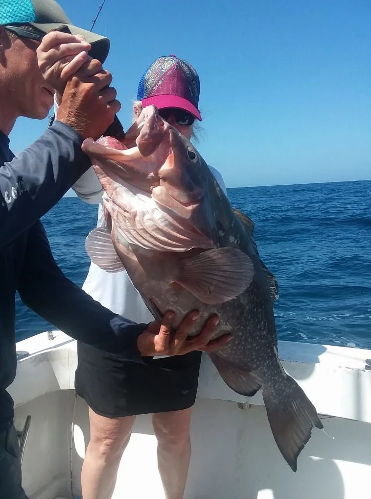 Fishing in Englewood, Florida
