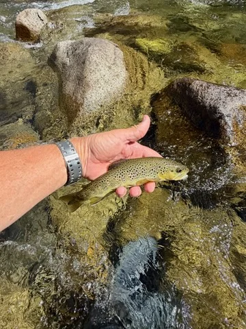 Fishing in Hume, California
