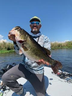 Largemouth Bass Fishing in Palmetto Bay, Florida