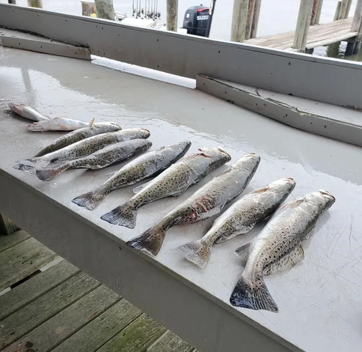 Redfish Fishing in Galveston, Texas